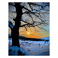 Load image into Gallery viewer, A Frozen Afternoon Christmas Protrait Card
